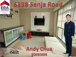 senja-road photo thumbnail #4